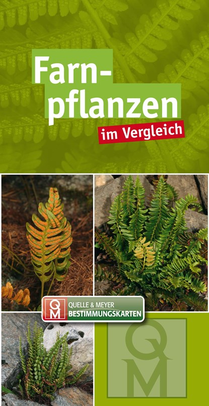 Farnpflanzen, Quelle & Meyer Verlag - Paperback - 9783494018812