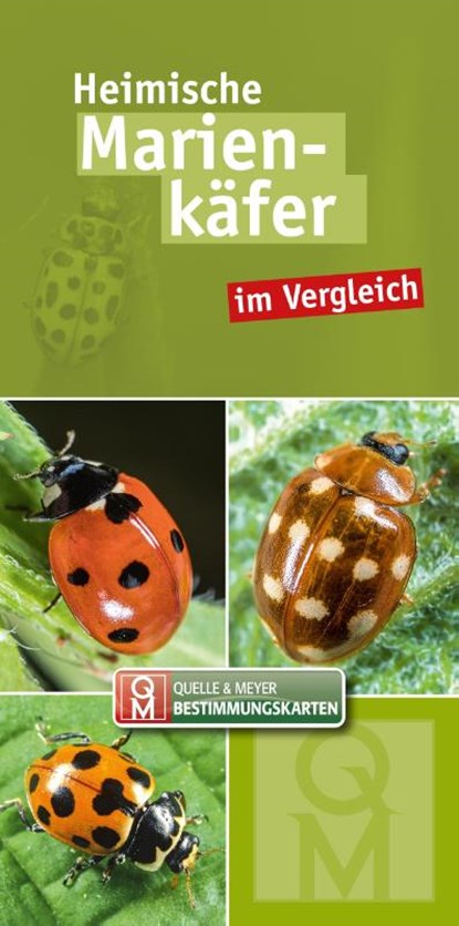 Heimische Marienkäfer, Quelle & Meyer Verlag - Paperback - 9783494019130