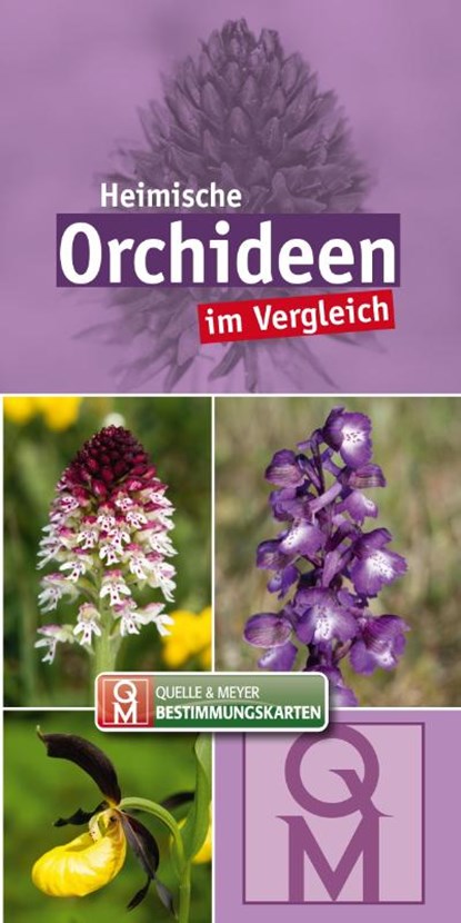 Heimische Orchideen im Vergleich - 10er-Set, Quelle & Meyer Verlag - Paperback - 9783494019277