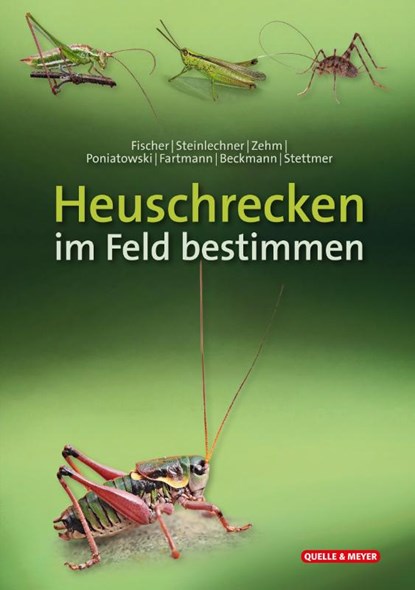 Heuschrecken im Feld bestimmen, Jürgen Fischer ; Daniela Steinlechner ; Andreas Zehm ; Dominik Poniatowski - Paperback - 9783494019284