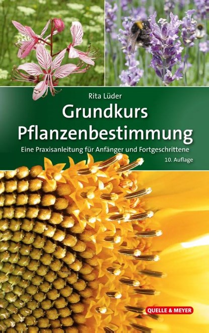 Grundkurs Pflanzenbestimmung, Rita Lüder - Gebonden - 9783494019383