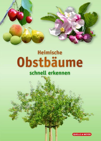 Heimische Obstbäume, Quelle & Meyer Verlag - Paperback - 9783494019499