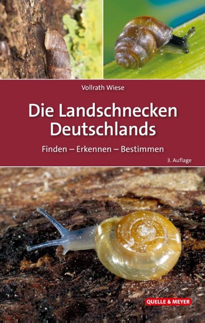Die Landschnecken Deutschlands, Vollrath Wiese - Gebonden - 9783494019925