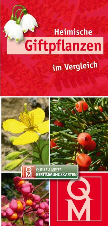 Heimische Giftpflanzen im Vergleich, Quelle & Meyer Verlag - Losbladig - 9783494022673