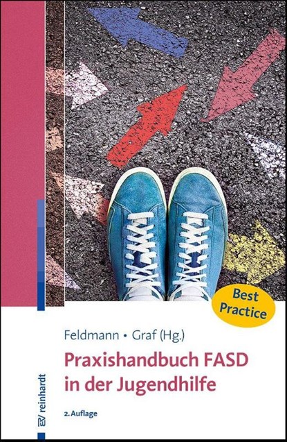 Praxishandbuch FASD in der Jugendhilfe, Reinhold Feldmann ; Erwin Graf - Paperback - 9783497033058