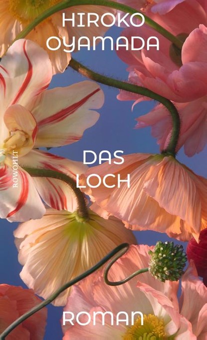 Das Loch, Hiroko Oyamada - Gebonden - 9783498004866