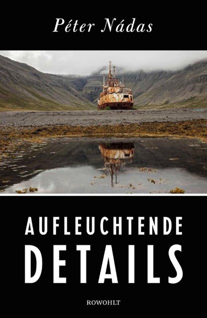 Aufleuchtende Details, Péter Nádas - Gebonden - 9783498046972