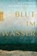 Blut im Wasser, Alexander Schimmelbusch - Paperback - 9783499001796