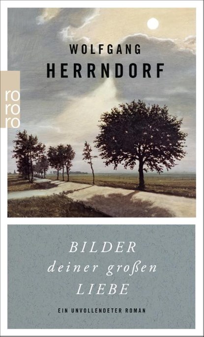 Bilder deiner grossen Liebe, Wolfgang Herrndorf - Paperback - 9783499269097