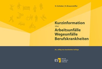 Kurzinformation über Arbeitsunfälle Wegeunfälle Berufskrankheiten, Heike Braunsteffer ; Heinz Schieke - Paperback - 9783503191093