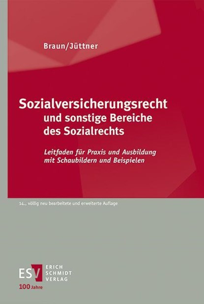 Sozialversicherungsrecht und sonstige Bereiche des Sozialrechts, Hans-Dieter Braun ; Günter Hans ; Michael Heinrich ; Tim Husemann - Paperback - 9783503236916