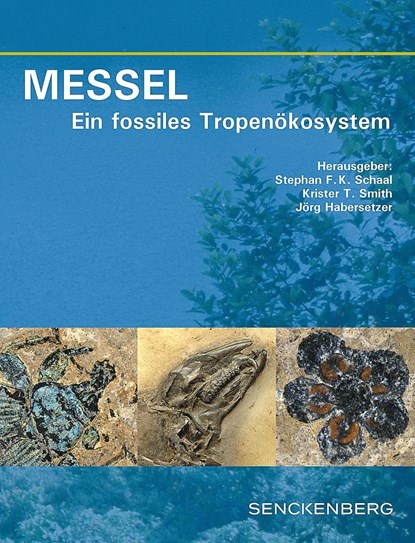 MESSEL - Ein fossiles Tropenökosystem, Stephan F. K. Schaal ;  Krister T. Smith ;  Jörg Habersetzer - Gebonden - 9783510614103