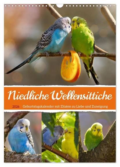 Niedliche Wellensittiche (Wandkalender 2026 DIN A3 hoch), CALVENDO Monatskalender, Sabine Löwer - Paperback - 9783516335859