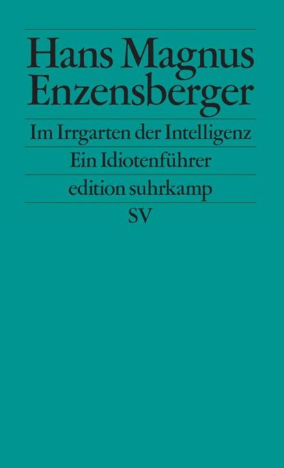 Im Irrgarten der Intelligenz, Hans Magnus Enzensberger - Paperback - 9783518125328