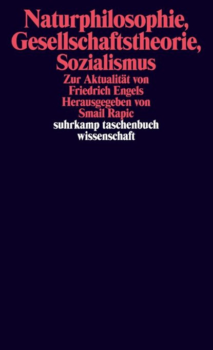 Naturphilosophie, Gesellschaftstheorie, Sozialismus, Smail Rapic - Paperback - 9783518299777