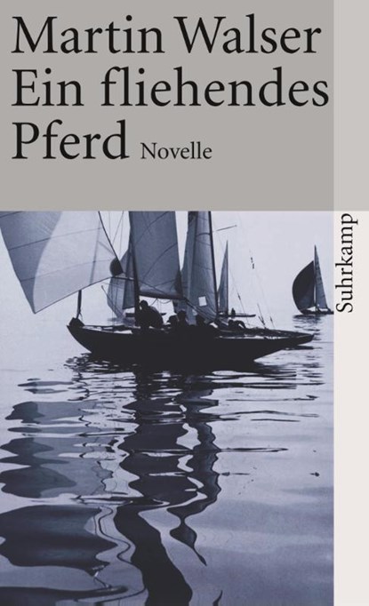Ein fliehendes Pferd, Martin Walser - Paperback - 9783518371008
