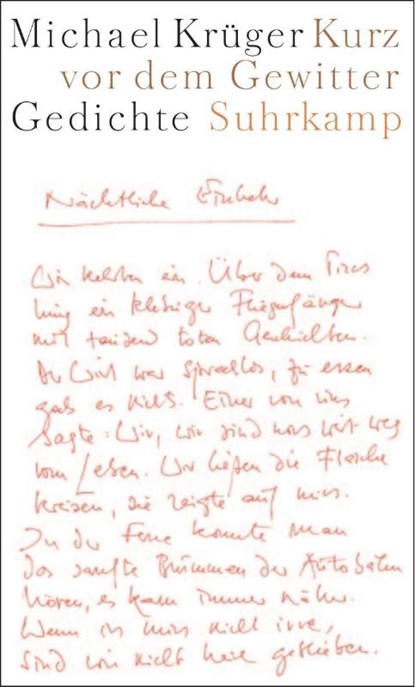 Kurz vor dem Gewitter, Michael Krüger - Gebonden - 9783518414569