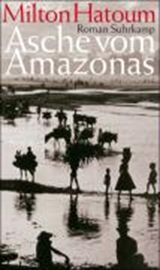 Asche vom Amazonas