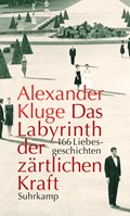 Das Labyrinth der zärtlichen Kraft | Alexander Kluge | 