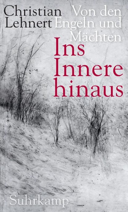 Ins Innere hinaus, Christian Lehnert - Gebonden - 9783518429570