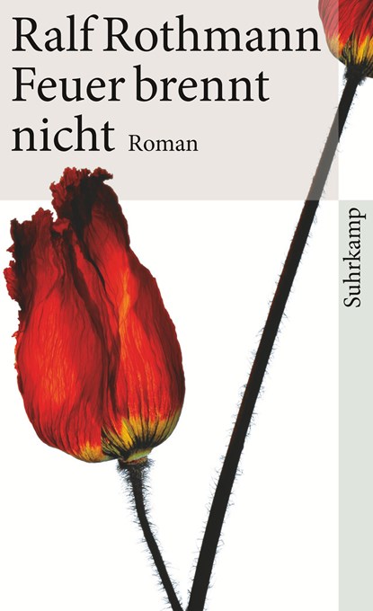 Feuer brennt nicht, Ralf Rothmann - Paperback - 9783518461730