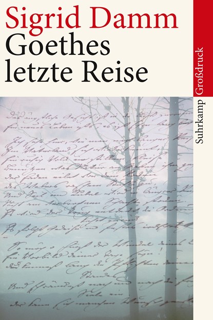 Goethes letzte Reise. Großdruck, Sigrid Damm - Paperback - 9783518462034