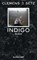 Indigo, Clemens J. Setz - Paperback - 9783518464779