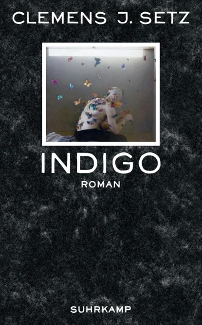 Indigo, Clemens J. Setz - Paperback - 9783518464779