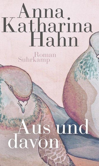Aus und davon, Anna Katharina Hahn - Paperback - 9783518471494