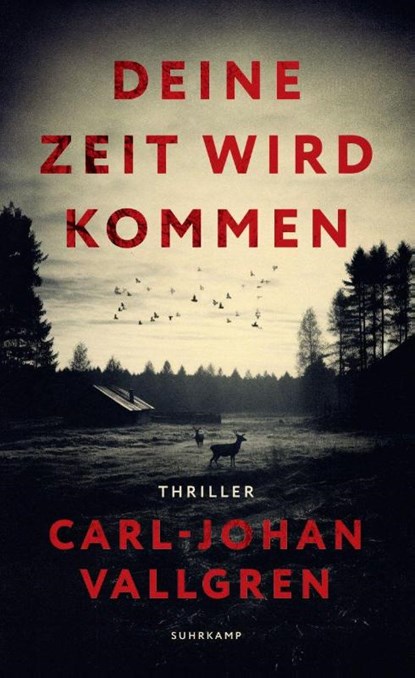 Deine Zeit wird kommen, Carl-Johan Vallgren - Paperback - 9783518475515