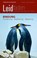 Bindung: Entstehung - Bedeutung - Belastung, Petra Rechenberg-Winter - Paperback - 9783525406717