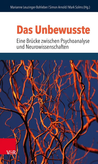 Das Unbewusste - Eine Brücke zwischen Psychoanalyse und Neurowissenschaften, Mark Solms ;  Marianne Leuzinger-Bohleber ;  Simon Arnold - Paperback - 9783525451335