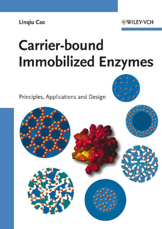 Carrier-bound Immobilized Enzymes