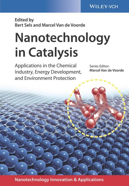 Nanotechnology in Catalysis, SELS,  Bert - Gebonden - 9783527339143