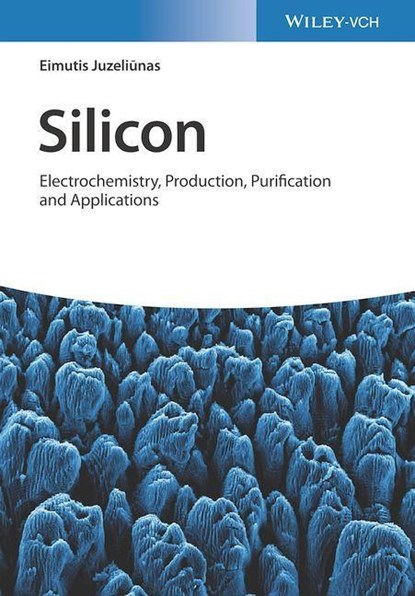 Silicon, Eimutis Juzeliunas - Gebonden - 9783527348978
