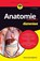 Anatomie kompakt fur Dummies, Donna Rae Siegfried - Paperback - 9783527719396