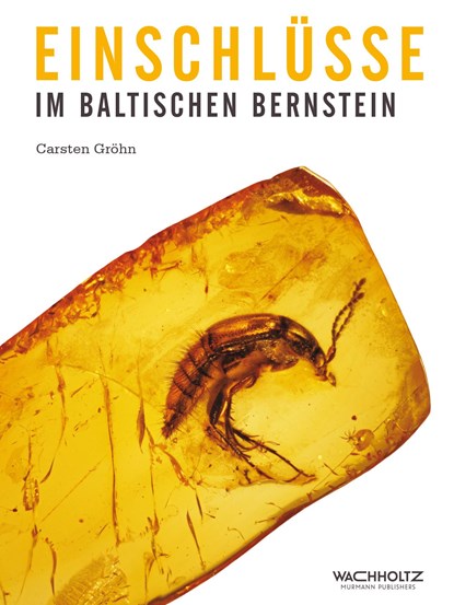 Einschlüsse im baltischen Bernstein, Carsten Gröhn - Gebonden - 9783529054570