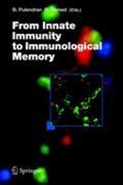 From Innate Immunity to Immunological Memory, PULENDRAN,  Bali ; Ahmed, Rafi - Gebonden - 9783540326359