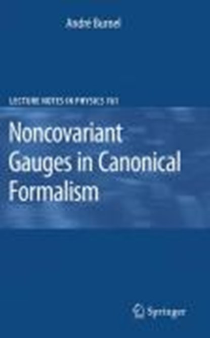 Noncovariant Gauges in Canonical Formalism, Andre Burnel - Gebonden - 9783540699200