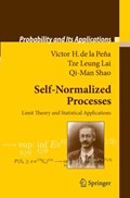 Self-Normalized Processes | Victor H. Pena ; Tze Leung Lai ; Qi-Man Shao | 