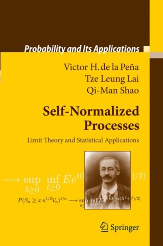 Self-Normalized Processes