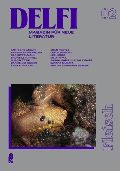 Delfi Fleisch, Daniel Schreiber ; Brontez Purnell ; Burçin Tetik ; Enrico Ippolito - Paperback - 9783546100922