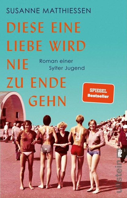 Diese eine Liebe wird nie zu Ende gehn, Susanne Matthiessen - Paperback - 9783548067803