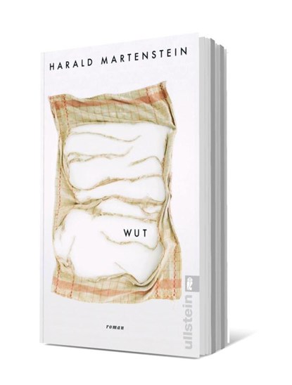 Wut, Harald Martenstein - Paperback - 9783548069982