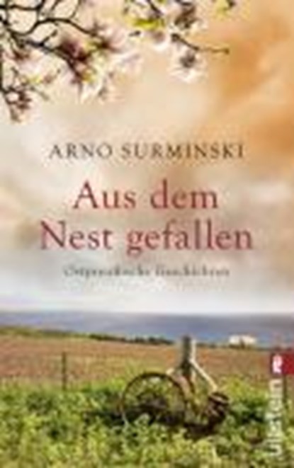 Aus dem Nest gefallen, SURMINSKI,  Arno - Paperback - 9783548269924