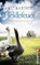 Heidefeuer, FORSTER,  Angela L. - Paperback - 9783548287539