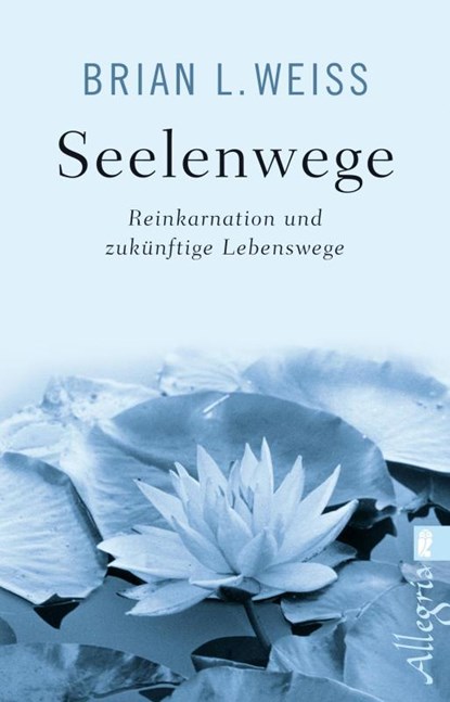 Seelenwege, Brian L. Weiss - Paperback - 9783548746630