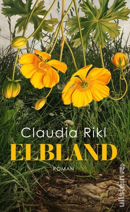 Elbland, Claudia Rikl - Gebonden - 9783550204463