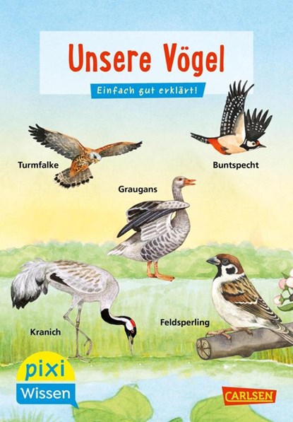 Pixi Wissen 108: VE 5 Unsere Vögel (5 Exemplare), Bärbel Oftring - Paperback - 9783551231659