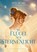 Flügel aus Sternenlicht, Allison Saft - Gebonden - 9783551281449